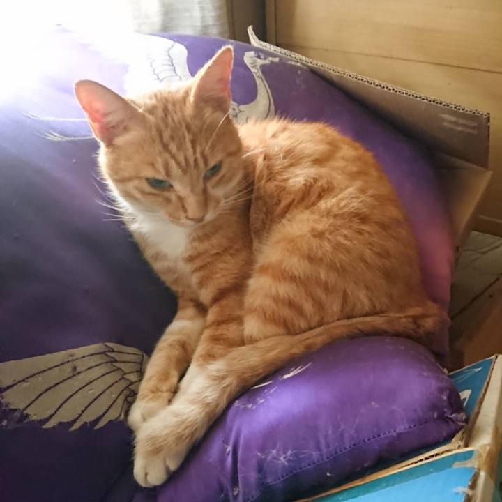 B8199a33 ac5c 405d 9045 e61aed838cbd 1596840127982