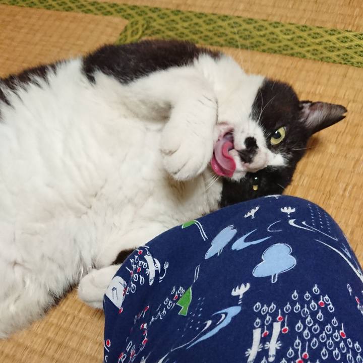 B819a055 9774 47eb 84ed 166c8ee5b324 1564457670412