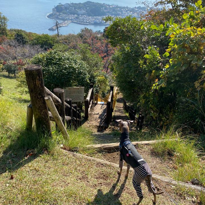 B819c1d7 5b70 49c6 a610 5da64f71e9c6 1763625724518