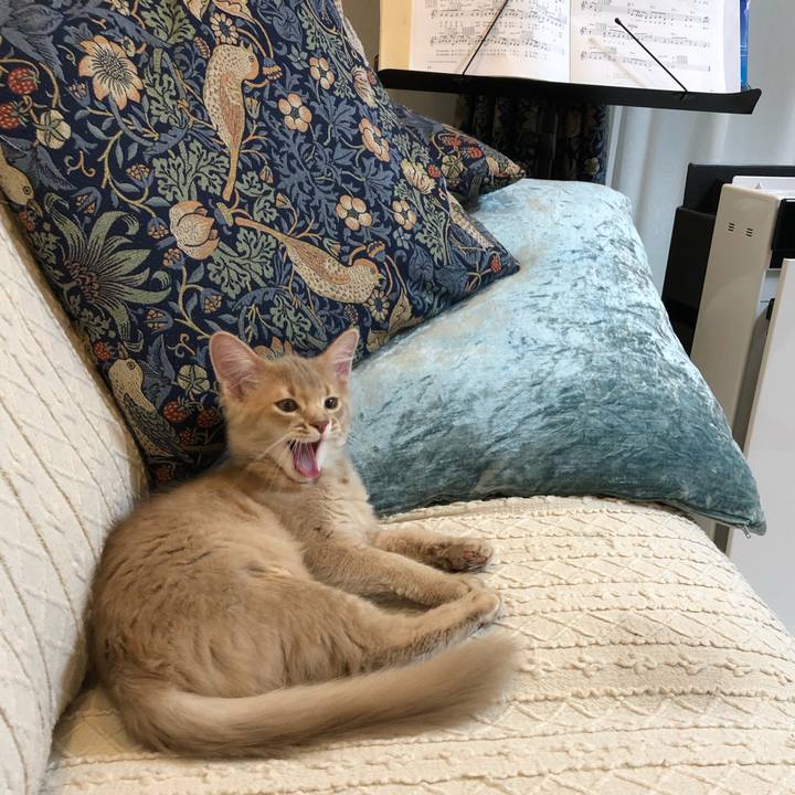 B819e191 e7b8 4ef3 bad4 b8ea28ead355 1544144336877