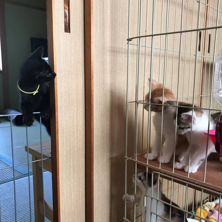 B819ed55 727c 4de2 9672 9bd608984375 1572253444182