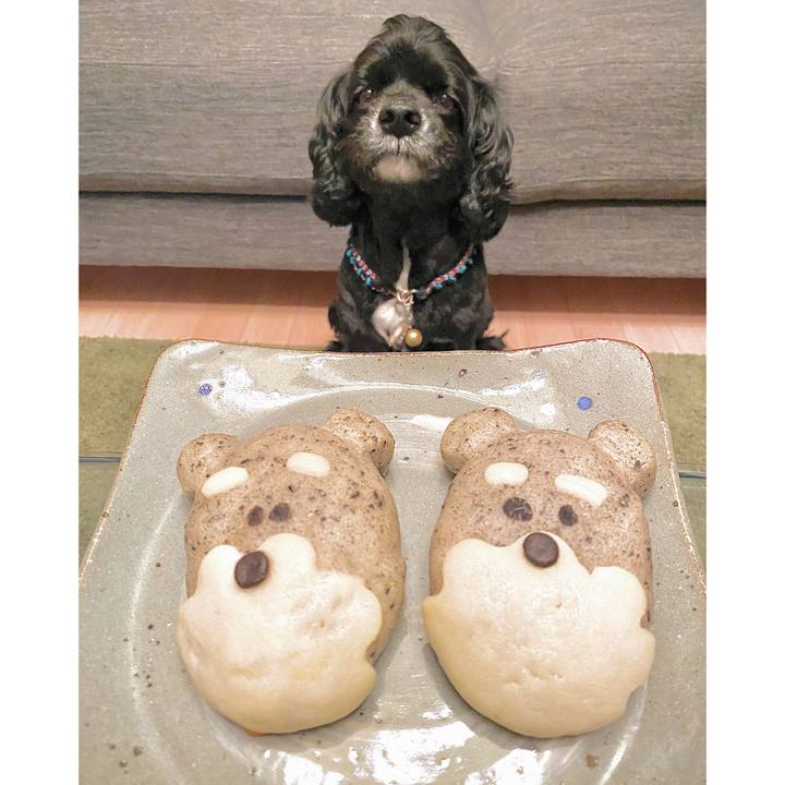 B81a02cd 7cb9 4dd0 8551 77c06695afb1 1637035263866