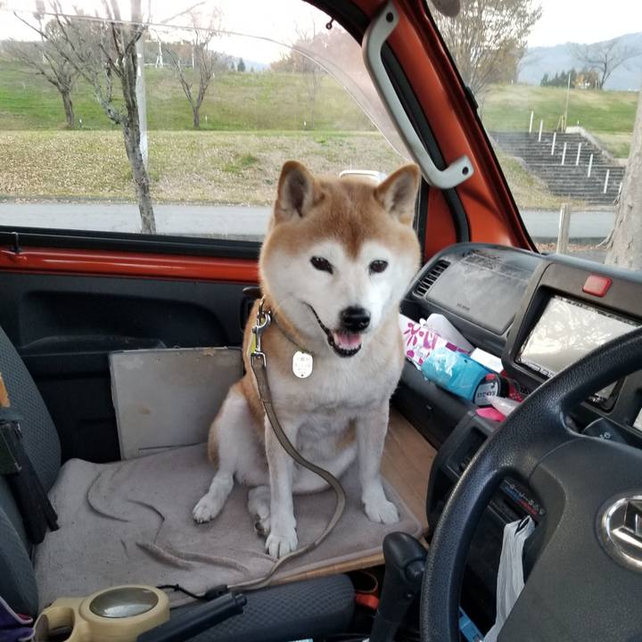 B81a1f07 e18b 42c4 82a0 30a07b267a16 1668238282008