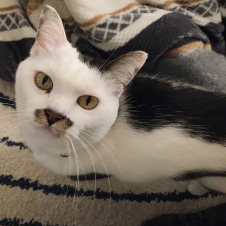 B81a2911 e4f9 414a a7c0 05b07c228616 1546148949328