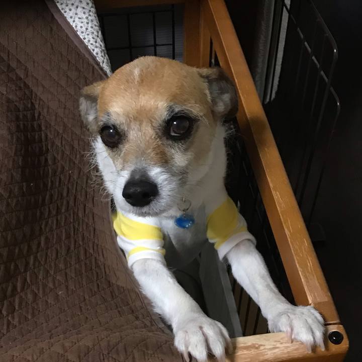 B81a3c8f 7e5f 4d47 a743 7cb2bdafbbb6 1556399178187