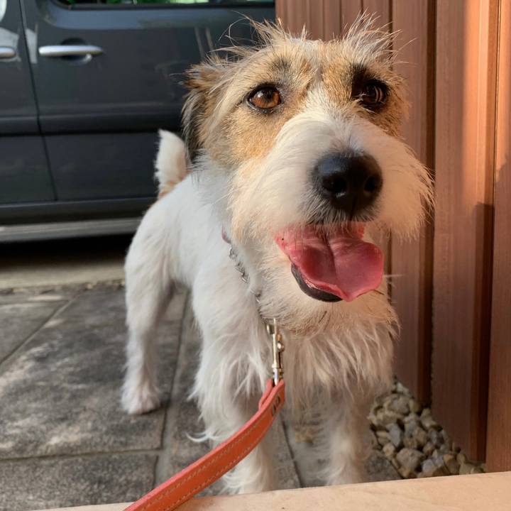 B81a45fa 784f 4767 88d6 08758b5961cf 1628034901432