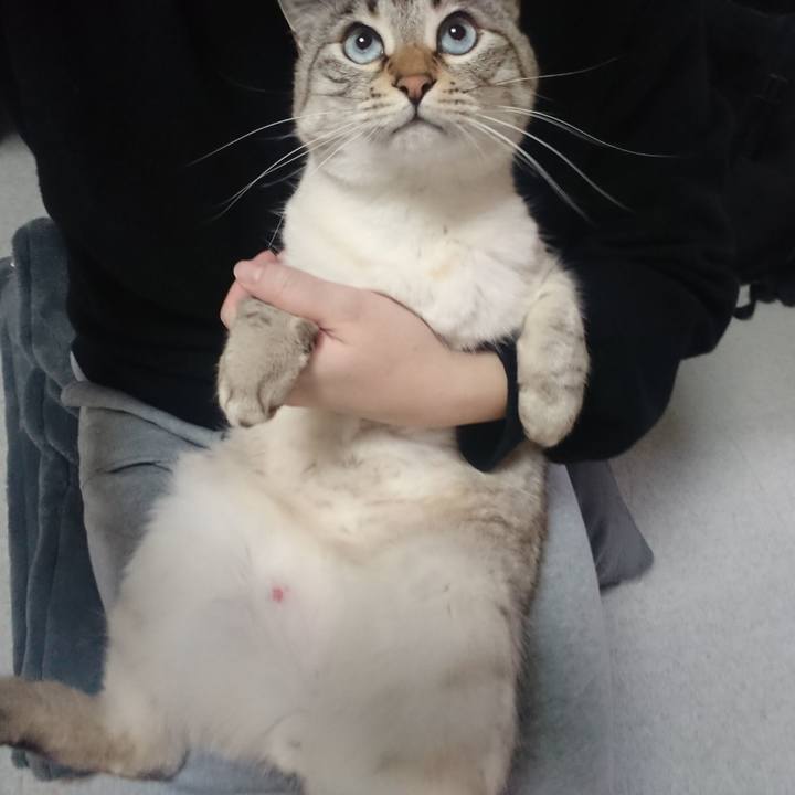 B81a61df 0511 45a6 9c7c 22737a60394f 1583146483174