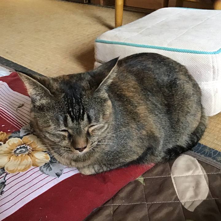 B81a9fcf cbc3 4a5a 9205 8d161f64a112 1664280674777