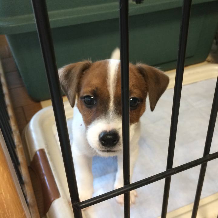 B81ae7e9 bbfd 41d6 9caf 0f8e892f216d 1510093858178