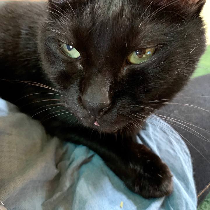 B81af126 95de 4369 b179 13872c855905 1598325128924