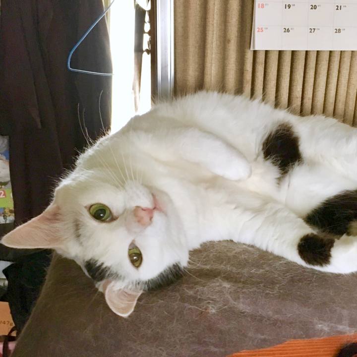 B81b0751 624f 41d1 ada3 536bf3e2878f 1567047738682