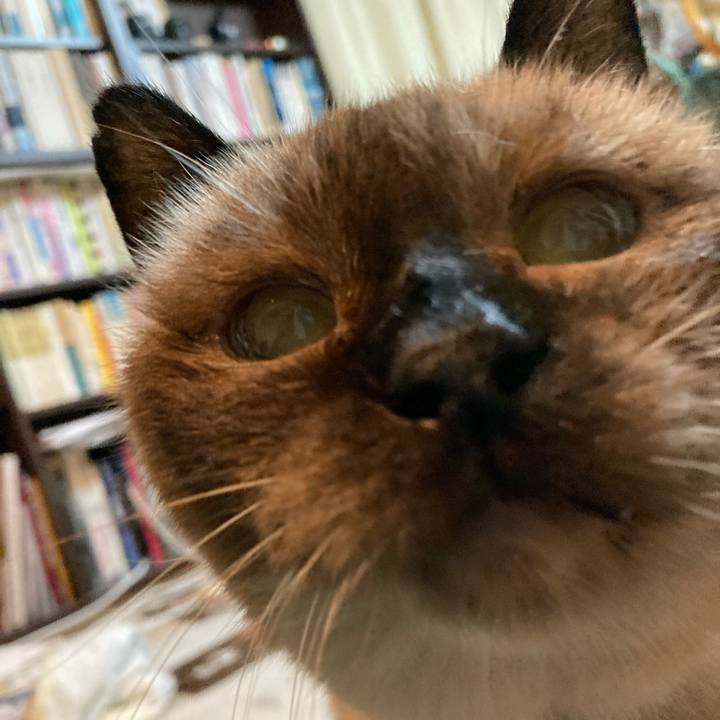 B81b253f 2509 492e 923a 8ae88da25a66 1630372580355