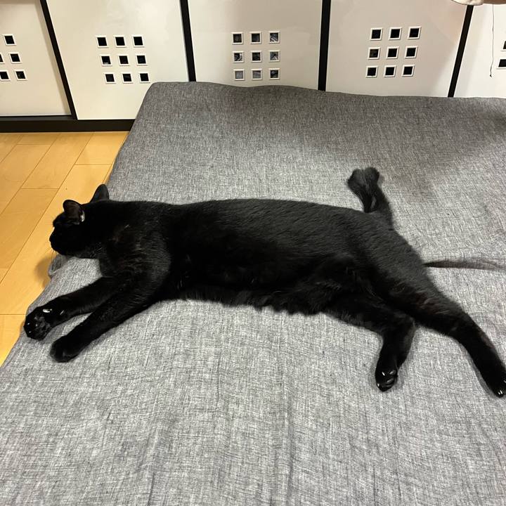 B81b2e3a aa7a 4e39 983a 533d3260a6b8 1726666636148