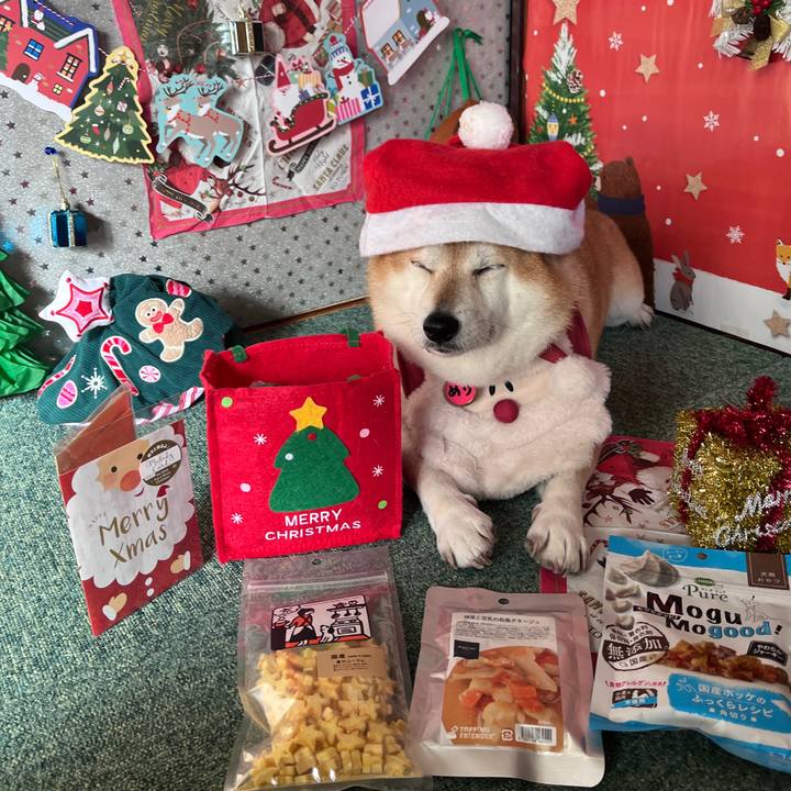 B81b8b67 9583 4c92 b38e 88dad0c5ece1 1703131143691