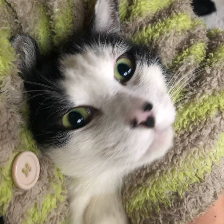 B81b90c8 eabd 4857 930c b5cd90ee105b 1610349793152