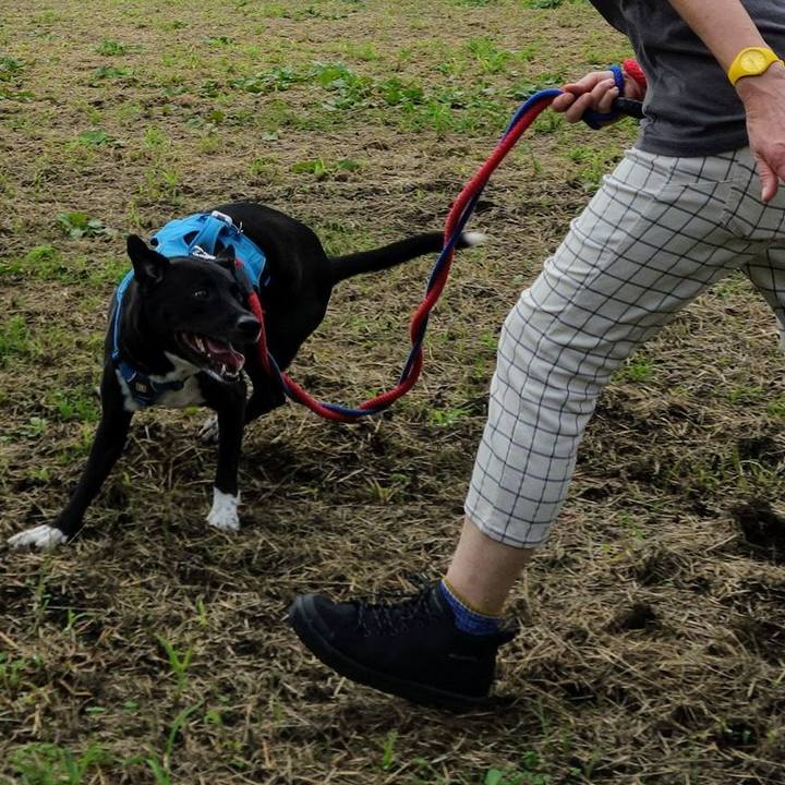 B81ba390 0b58 4771 9c4f 47c0da36e99f 1632011696301