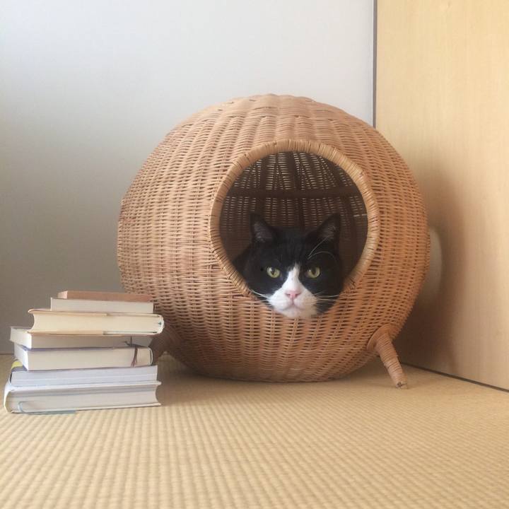 B81bad94 6252 4a6b a667 58e3d484b44f 1557627386586