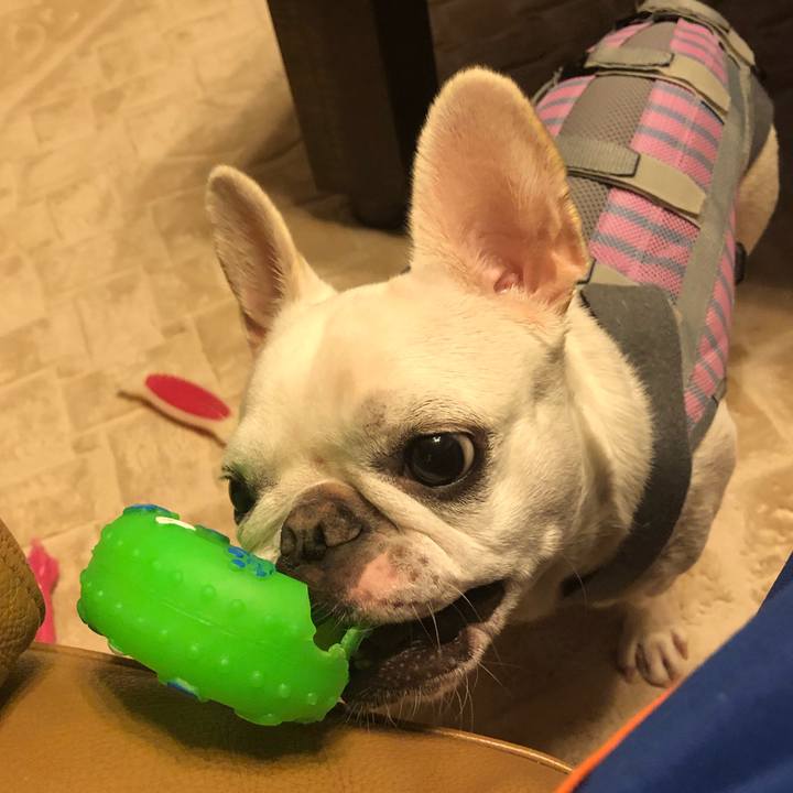 B81bb16b 35f5 4eac 8801 8e9316e0648c 1570710063767