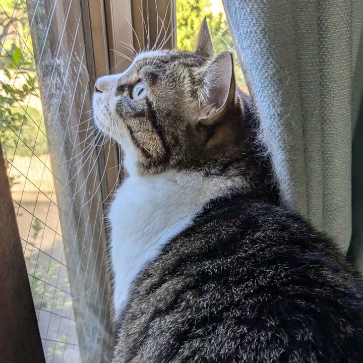 B81bfa73 db1c 44ed bc94 6155649ea386 1728944460413