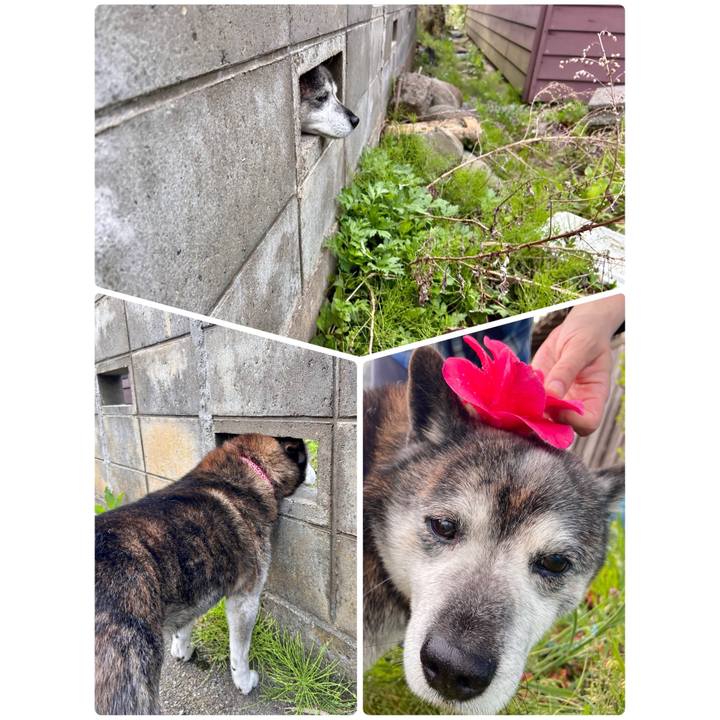 B81c53b4 017c 4be7 a44b 209d87080a06 1745186411081