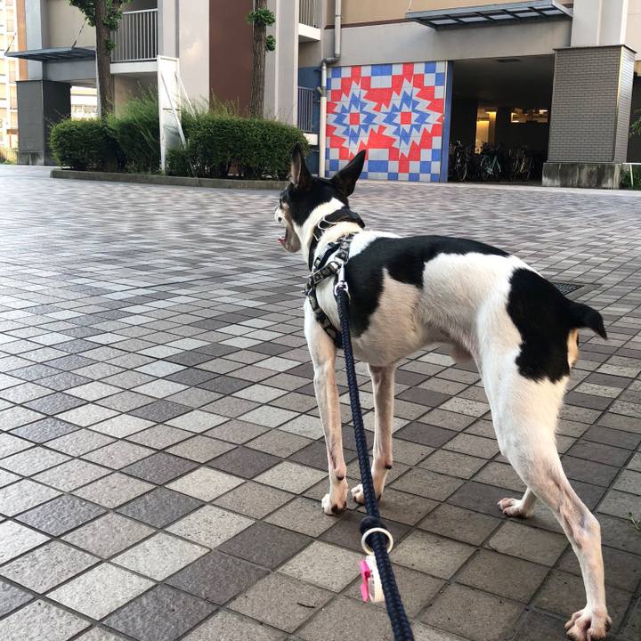 B81c5b8d 017f 42c7 a913 fe39290944a8 1532507671269