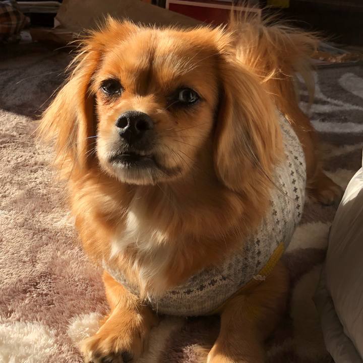 B81c5ee8 4336 482c 9355 573c98d07d25 1513991028442