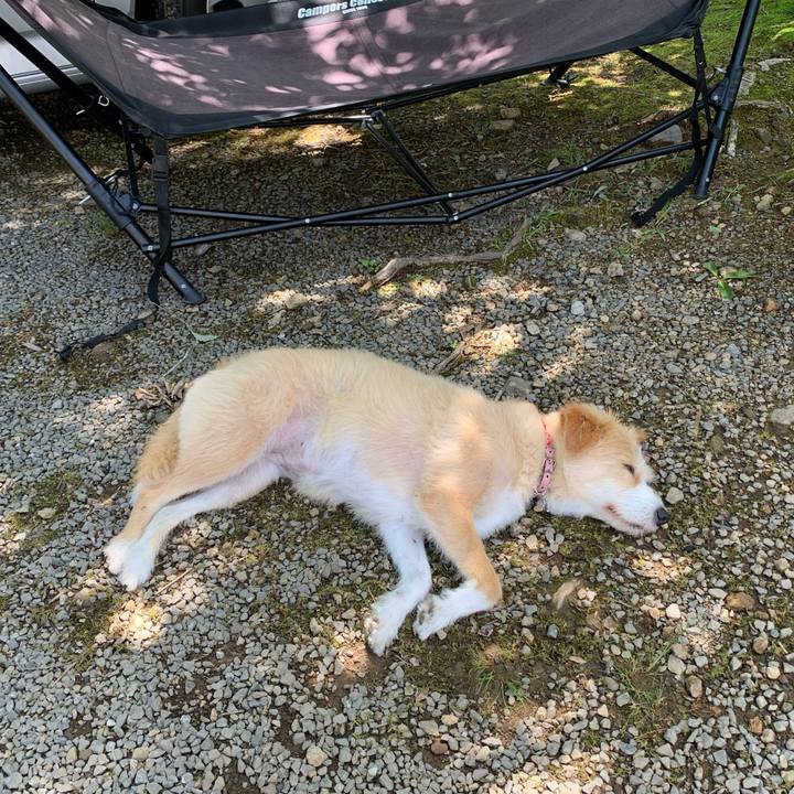 B81c65d9 1a78 447a 9538 31b611698d65 1595134964427