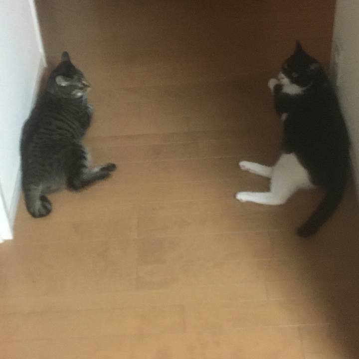 B81c87ae ce79 4fce be0a 27772e0fadd1 1597225164884