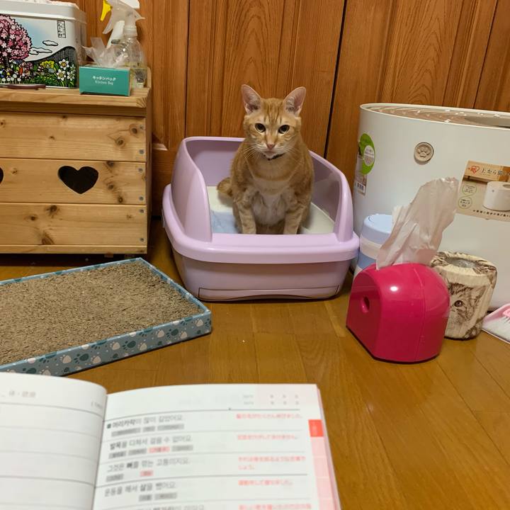 B81d06b0 8ead 4709 9f82 99be31dc6ebd 1583274309886