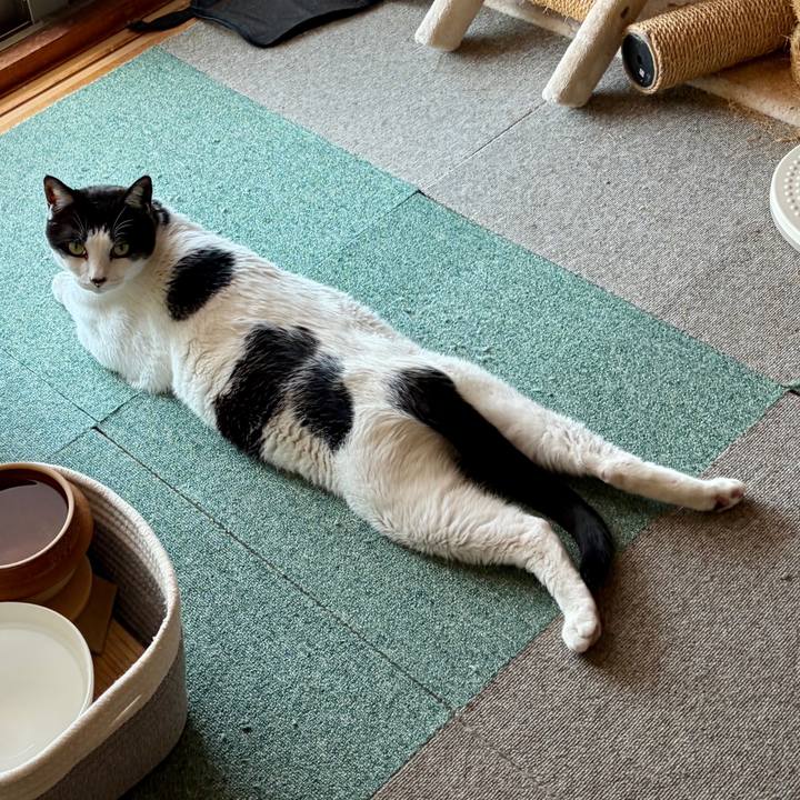 B81d0a06 0a81 4ee4 badc 0d6eb76d637e 1772849308938