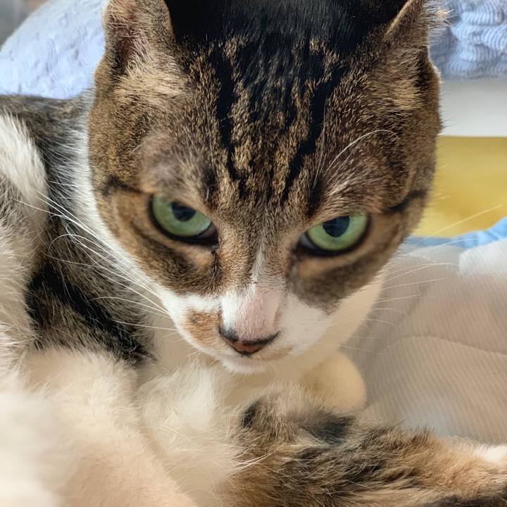 B81d1fb1 9cd1 4a61 a953 be858125e4e0 1562893267436