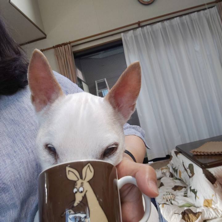 B81d305c 31a9 49d1 8dbe c69c45c6fdc1 1557182207458