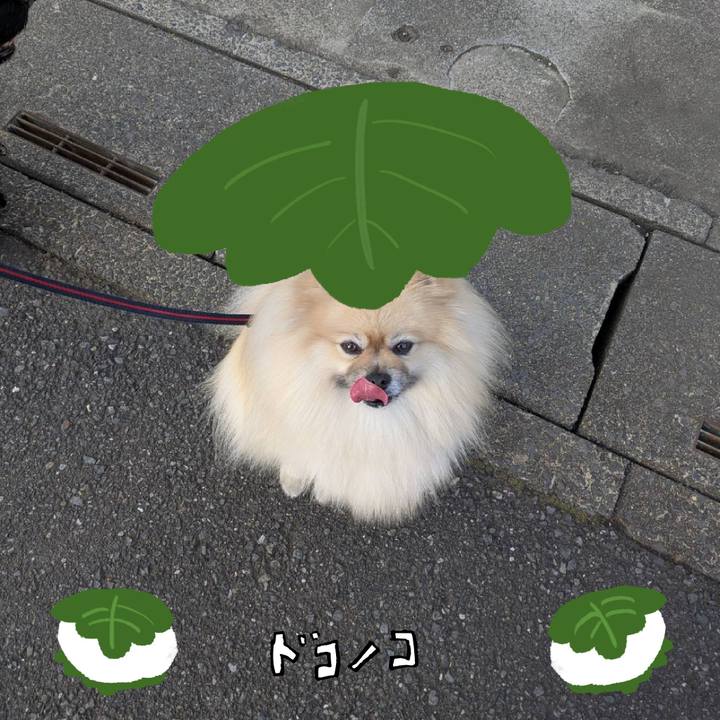 B81d71d0 c64e 40fc 8813 d2670b69c108 1749613412434