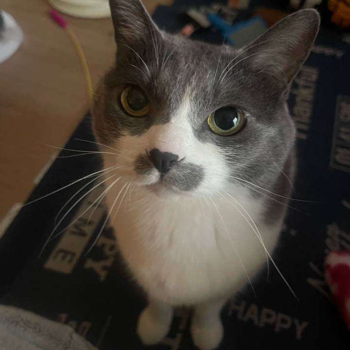 B81d85ea 8aa6 46aa b6a9 490b4e6ef063 1744509101701