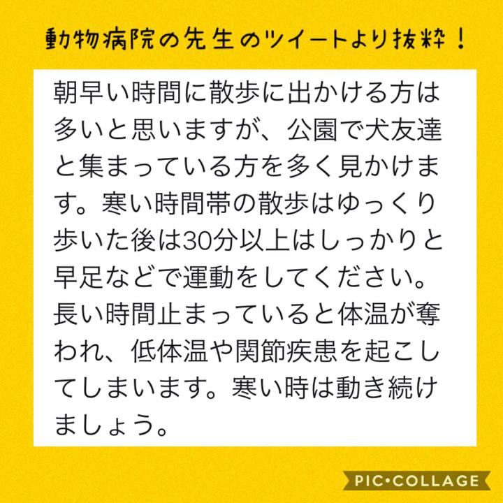 B81da443 1fc5 4659 90ba aea14409268e 1577426213320