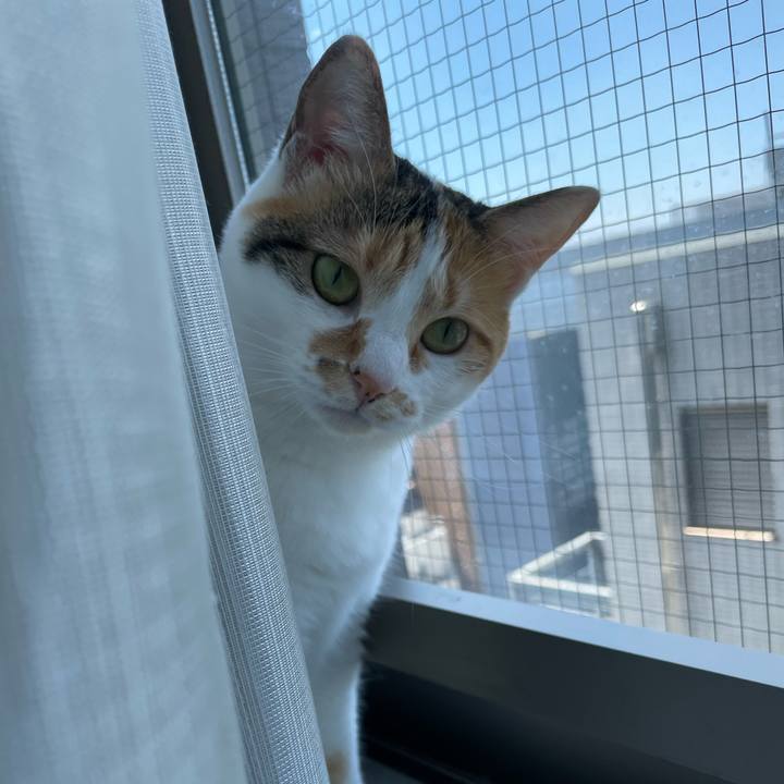 B81de23a 14af 4c17 b68d 3e28d1416238 1654321384462