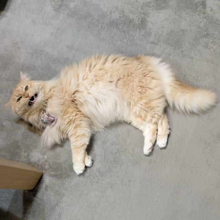 B81de60d 6c5f 4ffe 8efc bf205c3e7e2b 1751282121302