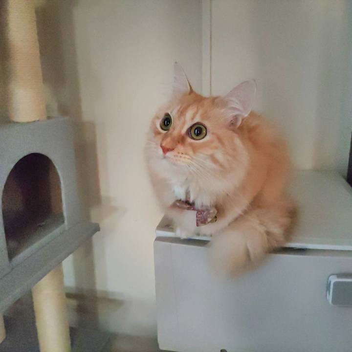 B81e0ead ec34 4569 93d9 e0b90827472c 1700518332746