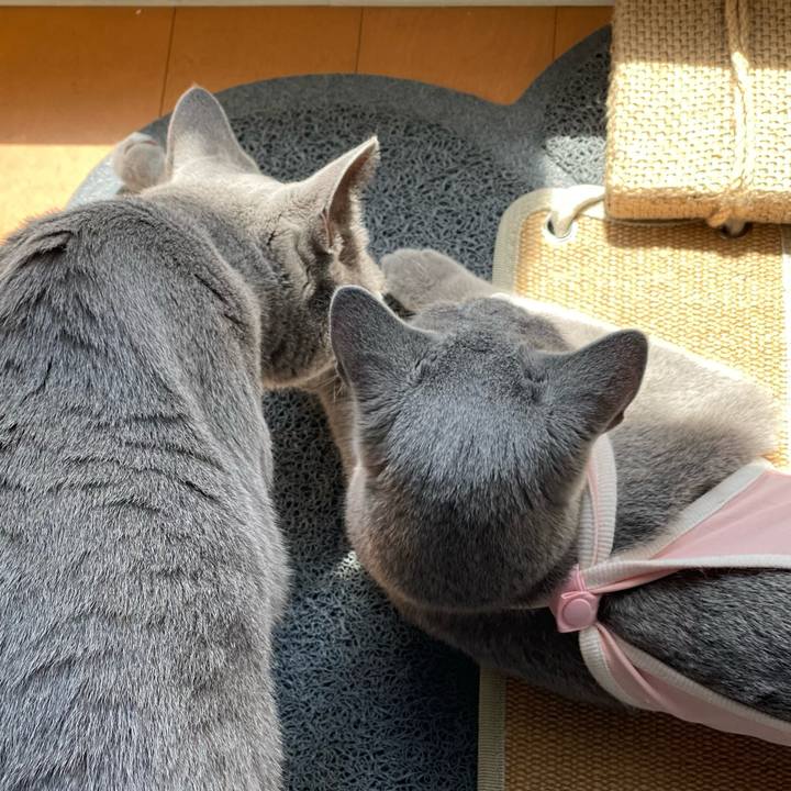 B81e27ab 75b8 4ddb 9a2c 70bff8ed4a2d 1631764150717