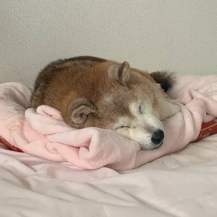 B81e426d d4e6 481b 89ca c36d6ce26197 1670722102540