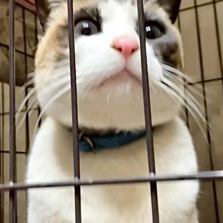 B81e49fc e899 4e0c b1bb eb38e9c5e67d 1740657075912