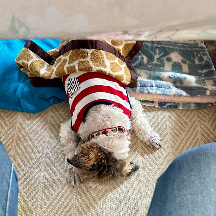 B81e6bc7 c35e 4be2 91f5 30b8116fffe2 1680749226831