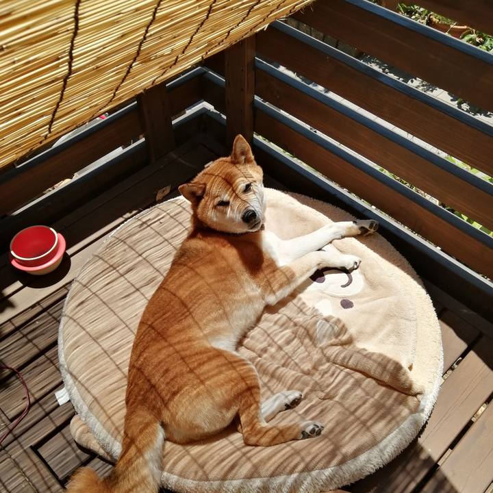 B81e7b47 46a7 46a8 92a2 c91f764991f4 1656645582688