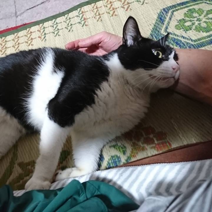 B81e8802 8996 4269 a9dd 76f76c8b5ad1 1536674457372