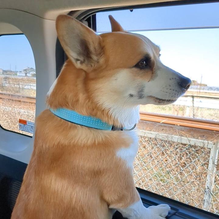 B81e9521 5afa 4284 9b80 2734a799a1de 1774094960651