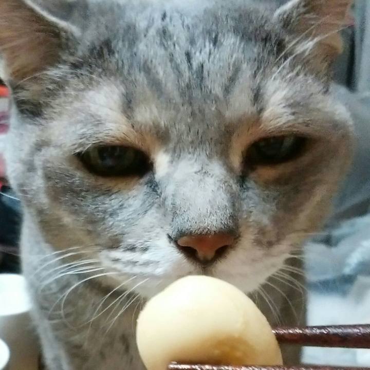 B81eeba1 a75b 4a95 9360 87e206c18b75 1575729085263