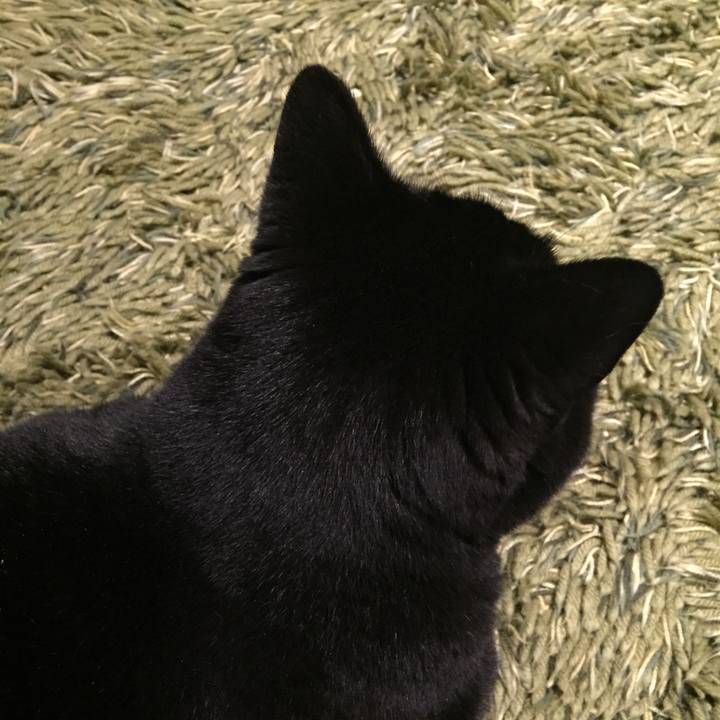 B81ef746 8c5c 4c6b b0fc 043fe8b763a7 1535026165348