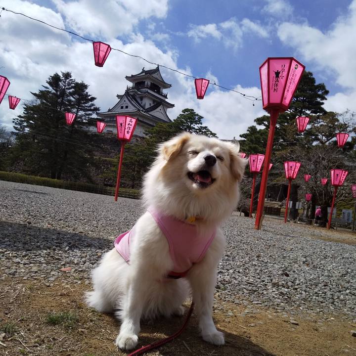 B81efd38 86f3 4c25 8903 4bcd6f78a90b 1584350103986