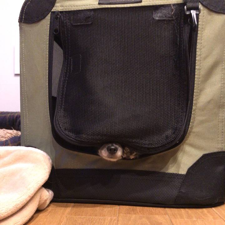 B81f00df e9ca 4482 8b86 df6bdf7b2f0a 1535376262510