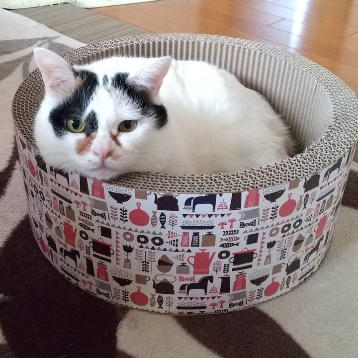 B81f1638 6bd6 4615 b27c 42da3c0d65f2 1578525980394